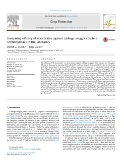 Comparing efficacy of insecticides against cabbage maggot