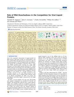 Role of RNA Branchedness in the Competition for Viral Capsid
