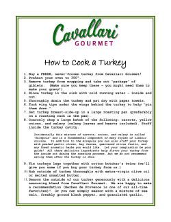 How to Cook a Turkey