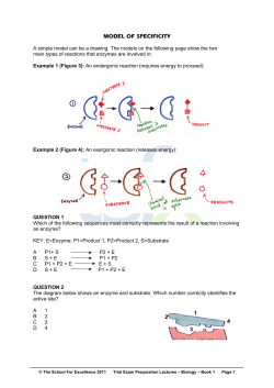 model of specificity 1 2 3 4