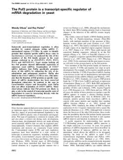 The Puf3 protein is a transcript-specific regulator of mRNA