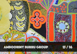 ambooriny burru group