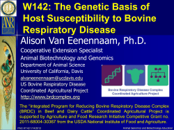 The Genetic Basis of Host Susceptibility to Bovine Respiratory
