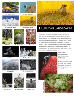 lilliputian landscapes - Judy Robinson-Cox