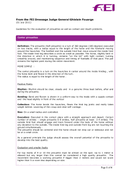 From the Dressage Judge General Ghislain Fouarge (01 July