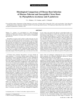 Histological Comparison of Fibrous Root Infection of Disease