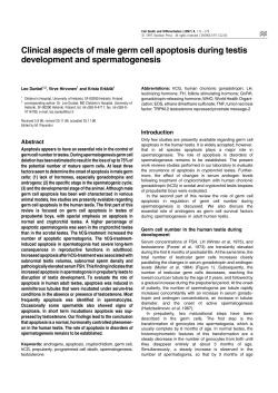 Clinical aspects of male germ cell apoptosis during testis