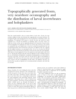 Topographically generated fronts, very nearshore