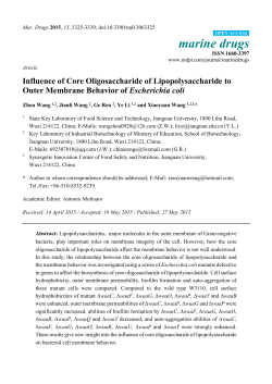Influence of Core Oligosaccharide of Lipopolysaccharide to Outer