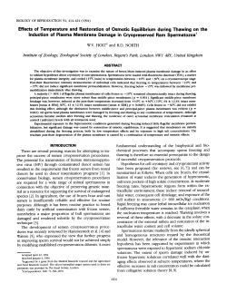 Effects of Temperature and Restoration of Osmotic Equilibrium