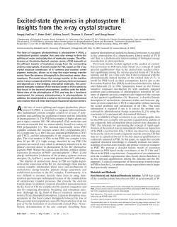 Excited-state dynamics in photosystem II: Insights
