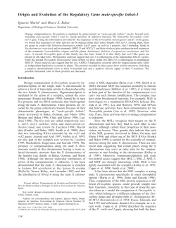 Origin and Evolution of the Regulatory Gene male-specific lethal-3