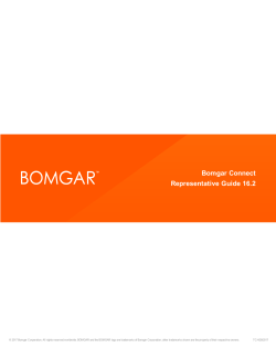 Bomgar Connect Representative Guide 16.2