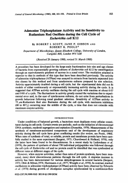 Adenosine Triphosphatase Activity and its Sensitivity