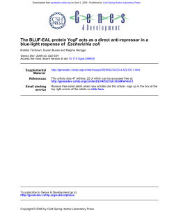 Escherichia coli blue-light response of The BLUF-EAL