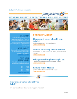 February Perspecives 2017 - BRUNER Wealth Management, LLC