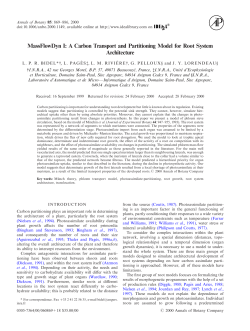 A Carbon Transport and Paritioning Model for Root System