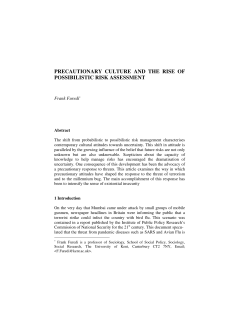 precautionary culture and the rise of possibilistic risk
