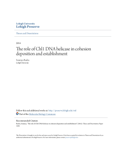 The role of Chl1 DNA helicase in cohesion