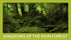 kingdoms of the rain forest - Mr. Iannucci`s World of History
