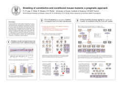 Breeding of constitutive and conditional mouse mutants: a