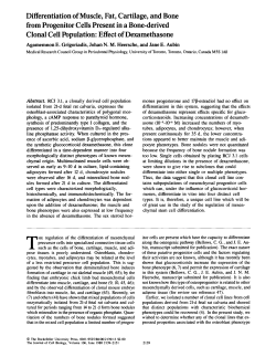 Differentiation of Muscle, Fat, Cartilage, and Bone
