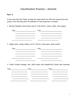 Classification Practice – Animals