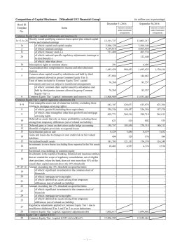 DComposition of Capital Disclosure