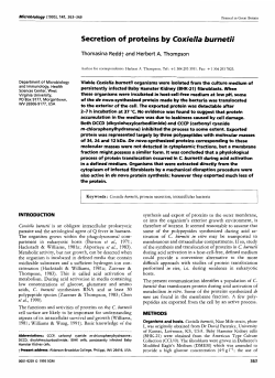 Secretion of proteins by Coxiella burnetii
