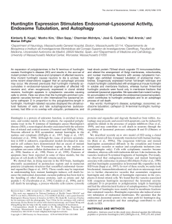 Huntingtin Expression Stimulates Endosomal&ndash;Lysosomal Activity