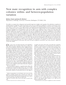 Nest mate recognition in ants with complex colonies: within