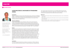 Ileum mucinous carcinoma in Trakehner horse