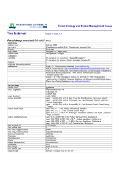 Pseudotsuga menziesii