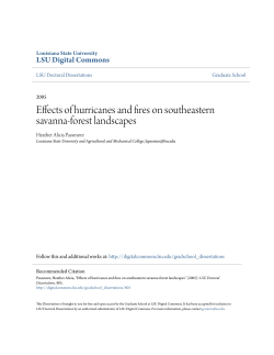 Effects of hurricanes and fires on southeastern savanna