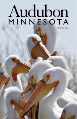 Summer 2016 - Audubon Minnesota