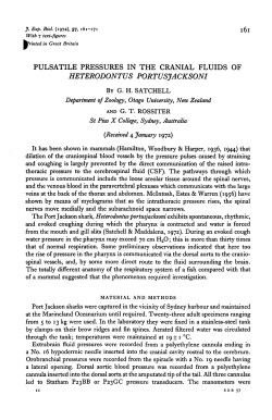 pulsatile pressures in the cranial fluids of heterodontus portusjacksoni
