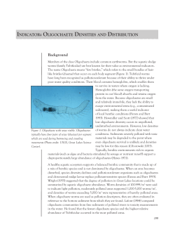OLIGOCHAETE DENSITIES AND DISTRIBUTION
