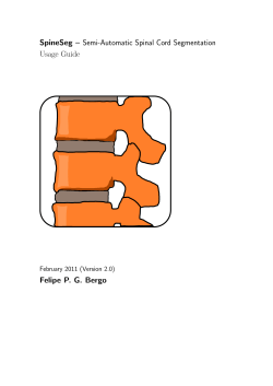 SpineSeg – Semi-Automatic Spinal Cord Segmentation