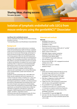 Isolation of lymphatic endothelial cells (LECs) from