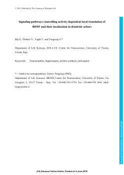 Signaling pathways controlling activity