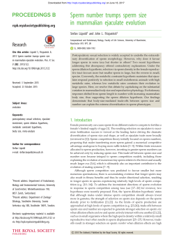Sperm number trumps sperm size in mammalian ejaculate evolution