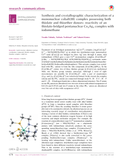 supporting information