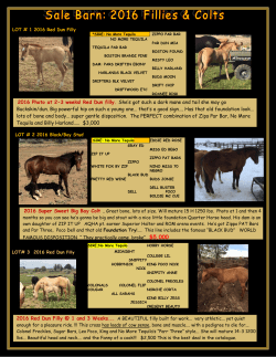 Picture - Pidcock/Coates Quarter Horses