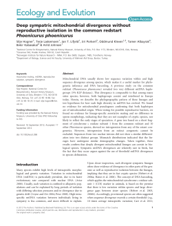 Deep sympatric mitochondrial divergence without reproductive
