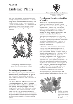 Endemic Plants