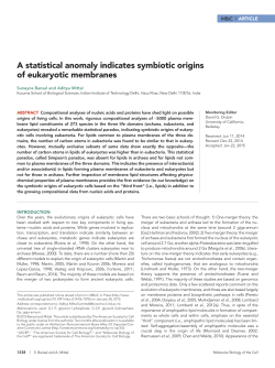 A statistical anomaly indicates symbiotic origins of eukaryotic