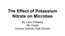Effect of Potassium Nitrate on Microbes