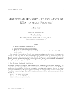 Molecular Biology - Translation of RNA to make