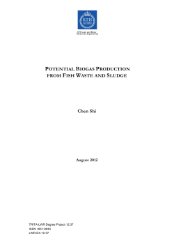 Potential Biogas Production from Fish Waste