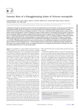 Genomic Basis of a Polyagglutinating Isolate of